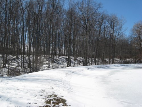 Property photo 61 - McAllister Estate Real Estate & Personal Property Auction